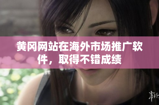 黄冈网站在海外市场推广软件，取得不错成绩