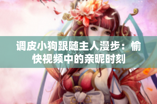 调皮小狗跟随主人漫步：愉快视频中的亲昵时刻