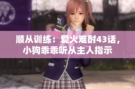 顺从训练：爱火难酎43话，小狗乖乖听从主人指示