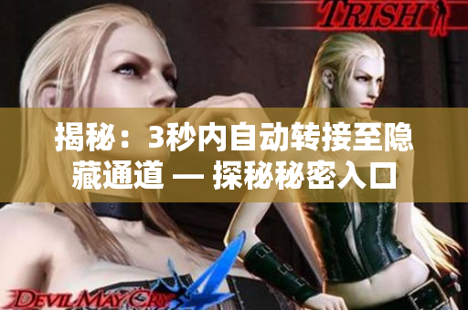 揭秘：3秒内自动转接至隐藏通道 — 探秘秘密入口