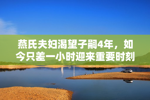 燕氏夫妇渴望子嗣4年，如今只差一小时迎来重要时刻