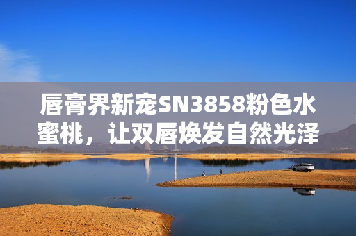 唇膏界新宠SN3858粉色水蜜桃，让双唇焕发自然光泽