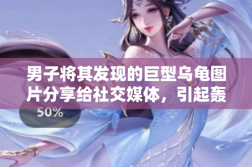男子将其发现的巨型乌龟图片分享给社交媒体，引起轰动