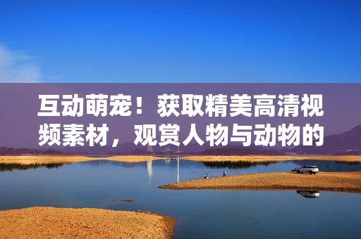 互动萌宠！获取精美高清视频素材，观赏人物与动物的温馨互动。
