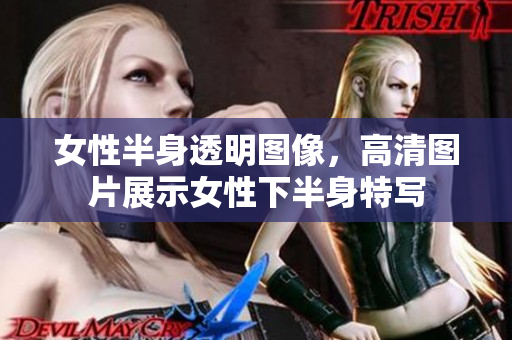 女性半身透明图像，高清图片展示女性下半身特写