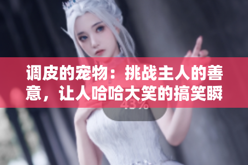 调皮的宠物：挑战主人的善意，让人哈哈大笑的搞笑瞬间