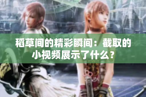 稻草间的精彩瞬间：截取的小视频展示了什么？