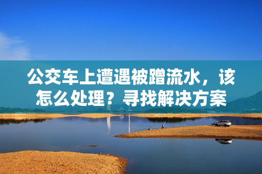 公交车上遭遇被蹭流水，该怎么处理？寻找解决方案