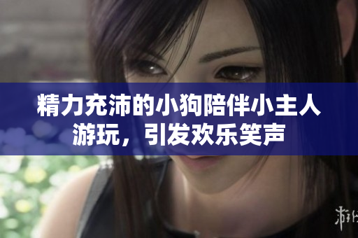 精力充沛的小狗陪伴小主人游玩，引发欢乐笑声