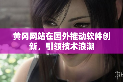 黄冈网站在国外推动软件创新，引领技术浪潮