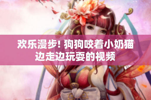 欢乐漫步! 狗狗咬着小奶猫边走边玩耍的视频