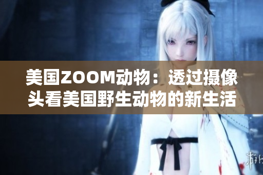 美国ZOOM动物：透过摄像头看美国野生动物的新生活