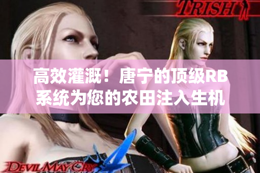 高效灌溉！唐宁的顶级RB系统为您的农田注入生机