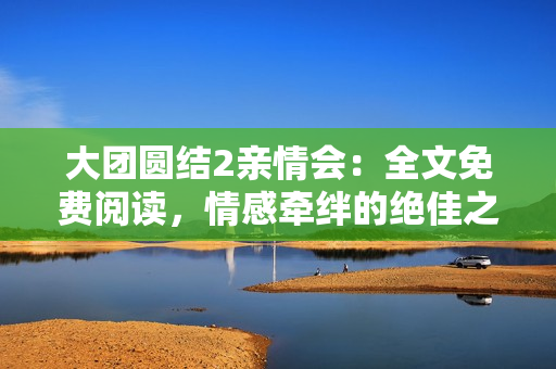 大团圆结2亲情会：全文免费阅读，情感牵绊的绝佳之作