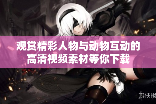 观赏精彩人物与动物互动的高清视频素材等你下载