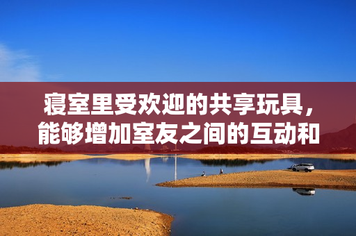 寝室里受欢迎的共享玩具，能够增加室友之间的互动和乐趣