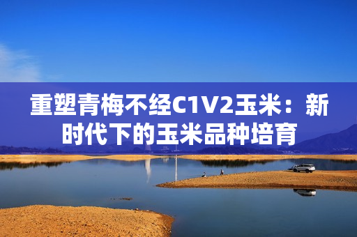 重塑青梅不经C1V2玉米：新时代下的玉米品种培育