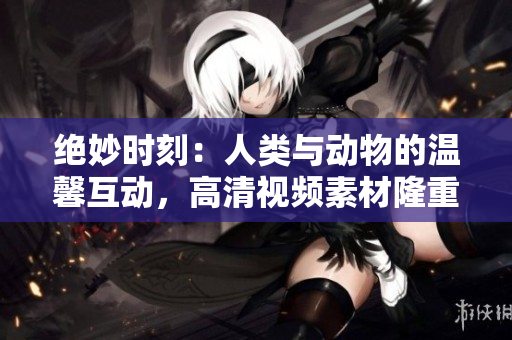 绝妙时刻：人类与动物的温馨互动，高清视频素材隆重推出