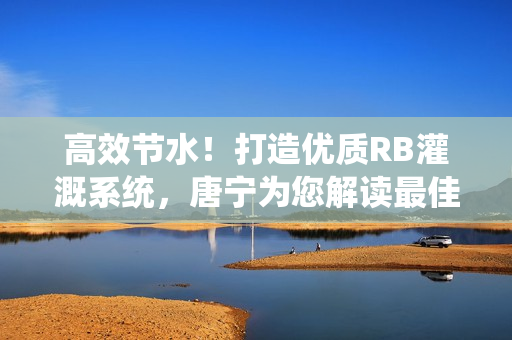 高效节水！打造优质RB灌溉系统，唐宁为您解读最佳选择