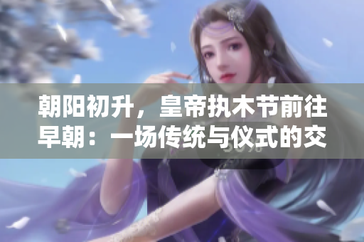 朝阳初升，皇帝执木节前往早朝：一场传统与仪式的交织
