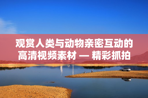 观赏人类与动物亲密互动的高清视频素材 — 精彩抓拍！