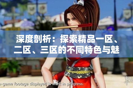 深度剖析：探索精品一区、二区、三区的不同特色与魅力