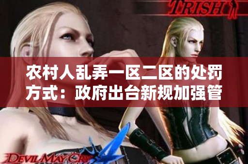 农村人乱弄一区二区的处罚方式：政府出台新规加强管理