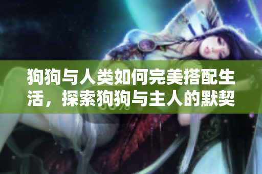 狗狗与人类如何完美搭配生活，探索狗狗与主人的默契之道