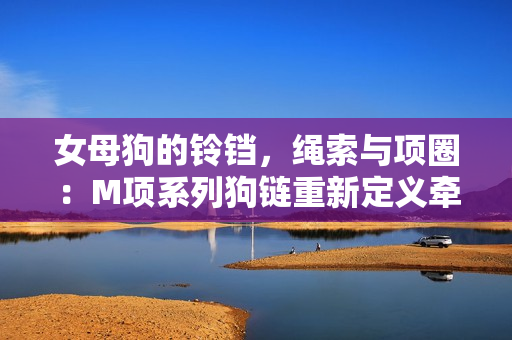 女母狗的铃铛，绳索与项圈：M项系列狗链重新定义牵引时尚