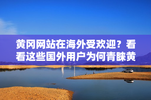 黄冈网站在海外受欢迎？看看这些国外用户为何青睐黄冈网站！