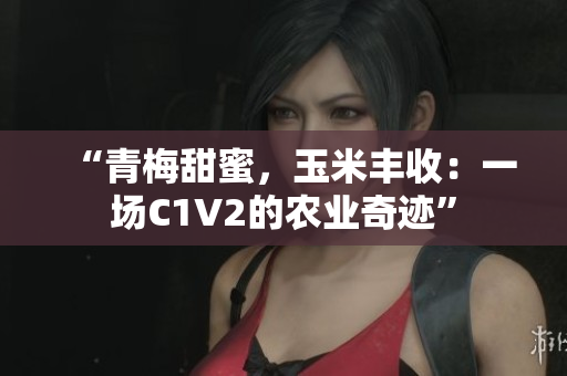 “青梅甜蜜，玉米丰收：一场C1V2的农业奇迹”