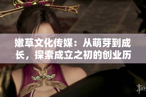 嫩草文化传媒：从萌芽到成长，探索成立之初的创业历程