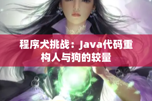 程序犬挑战：Java代码重构人与狗的较量