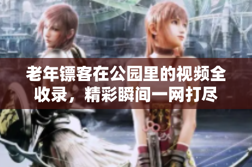 老年镖客在公园里的视频全收录，精彩瞬间一网打尽