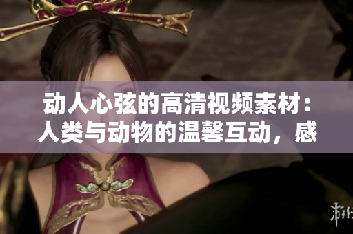 动人心弦的高清视频素材：人类与动物的温馨互动，感动人心的瞬间