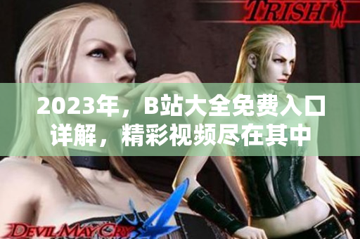 2023年，B站大全免费入口详解，精彩视频尽在其中