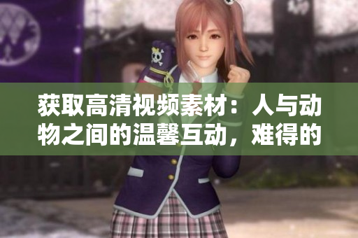 获取高清视频素材：人与动物之间的温馨互动，难得的瞬间展现