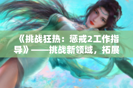 《挑战狂热：惩戒2工作指导》——挑战新领域，拓展工作视野