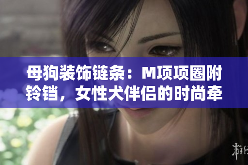 母狗装饰链条：M项项圈附铃铛，女性犬伴侣的时尚牵引绳