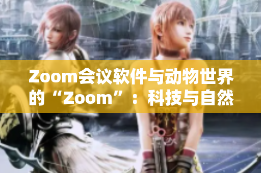 Zoom会议软件与动物世界的“Zoom”：科技与自然的碰撞