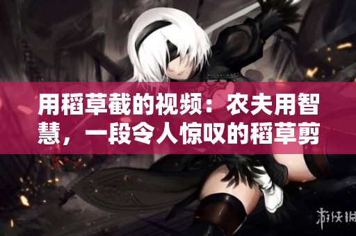 用稻草截的视频：农夫用智慧，一段令人惊叹的稻草剪辑！