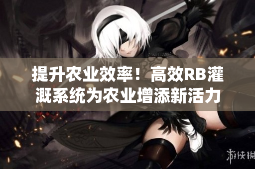 提升农业效率！高效RB灌溉系统为农业增添新活力