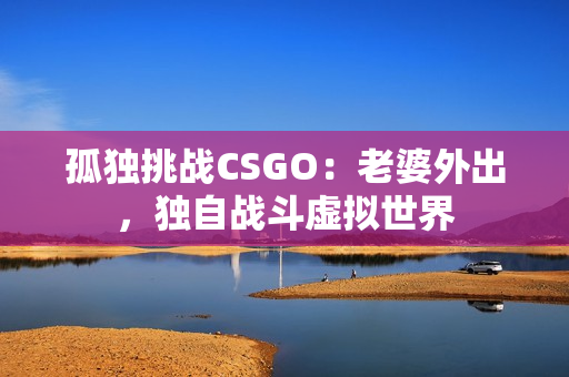 孤独挑战CSGO：老婆外出，独自战斗虚拟世界