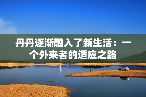 丹丹逐渐融入了新生活：一个外来者的适应之路