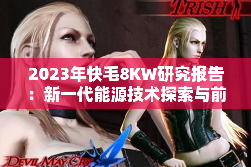 2023年快毛8KW研究报告：新一代能源技术探索与前景展望