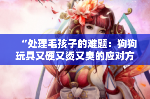 “处理毛孩子的难题：狗狗玩具又硬又烫又臭的应对方法！”