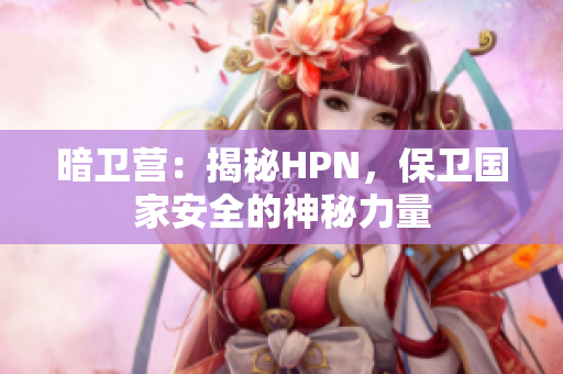 暗卫营：揭秘HPN，保卫国家安全的神秘力量