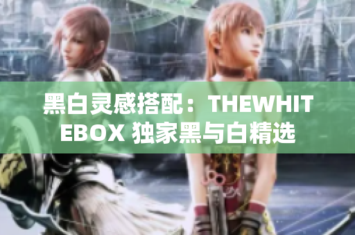 黑白灵感搭配：THEWHITEBOX 独家黑与白精选
