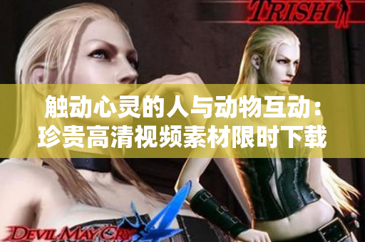触动心灵的人与动物互动：珍贵高清视频素材限时下载！