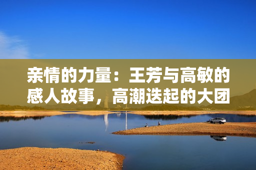 亲情的力量：王芳与高敏的感人故事，高潮迭起的大团圆结局让人泪目
